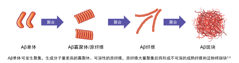DƬ